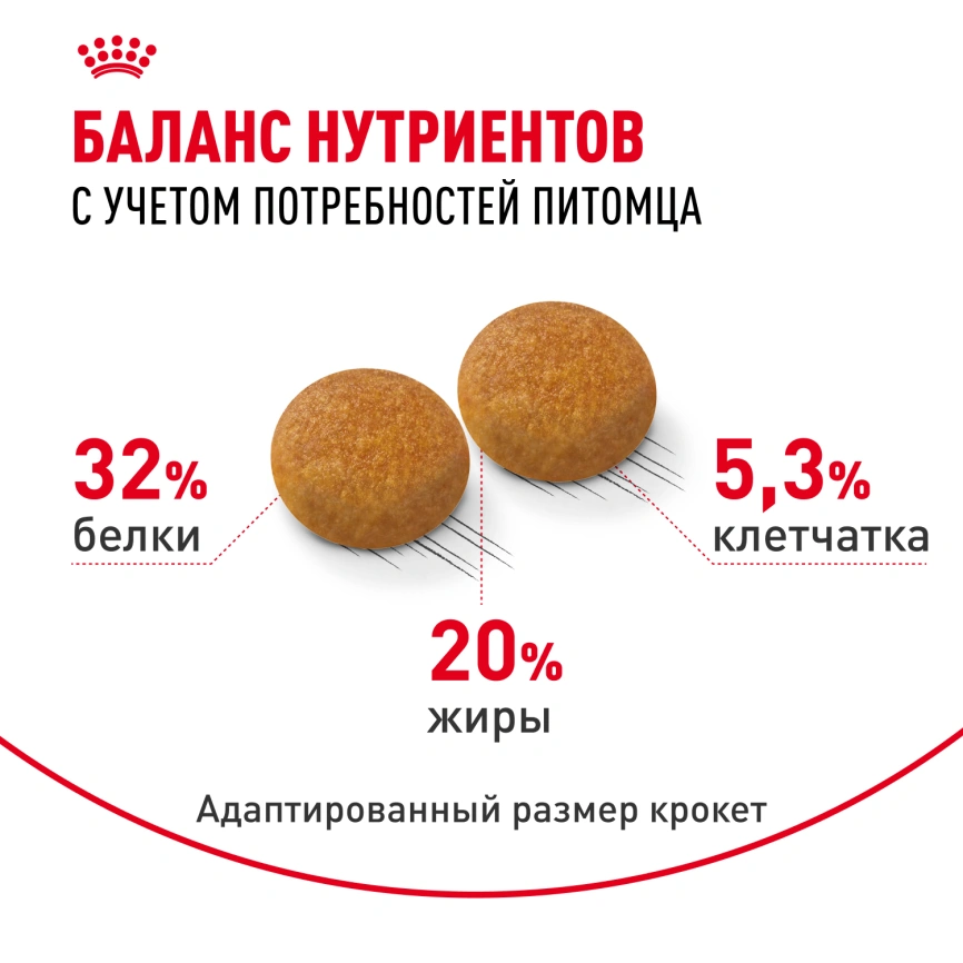 Сухой корм Royal Canin Siberian для кошек, 400 г фото 4