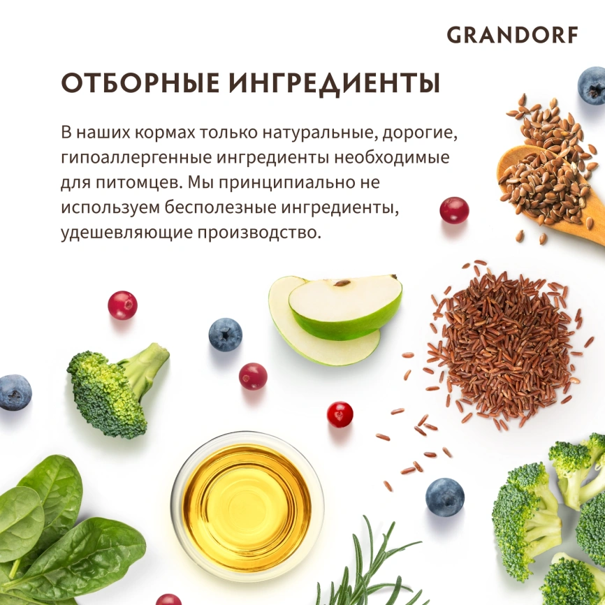 Сухой корм Grandorf Lamb & Turkey Kitten Ягненок с индейкой для котят, 400 г фото 8