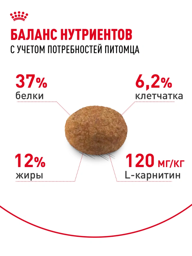 Сухой корм Royal Canin Sterilised для кастрированных котов и стерилизованных кошек, 1.2 кг фото 25