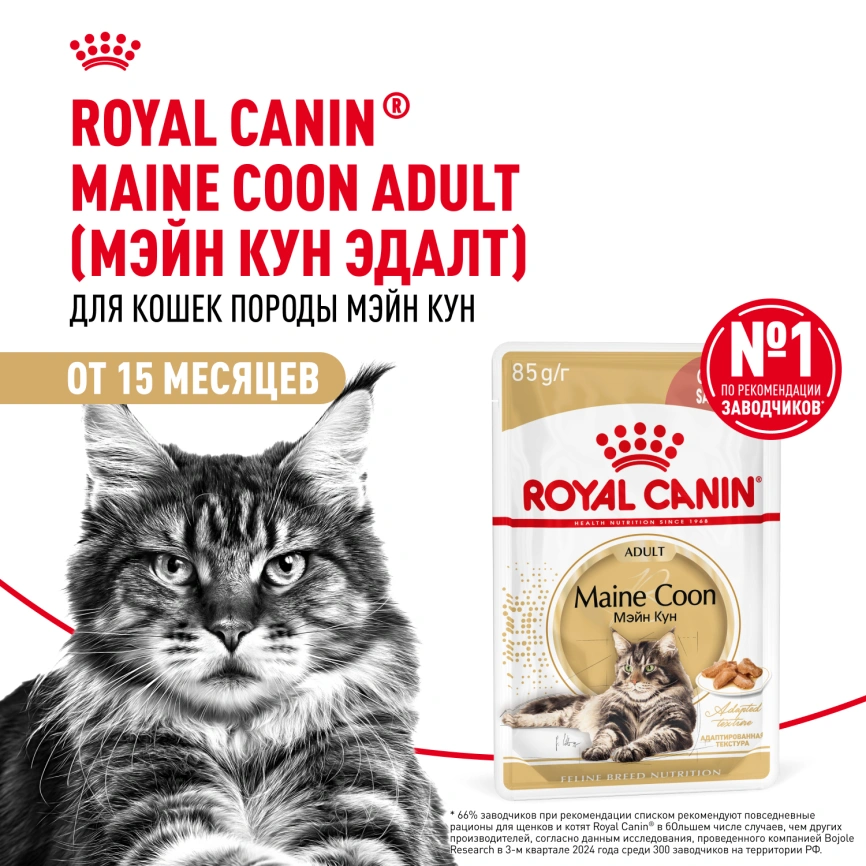Влажный корм Royal Canin Maine Coon в соусе для кошек породы мейн-кун и других крупных пород старше 1 года, пауч, 85 г фото 14