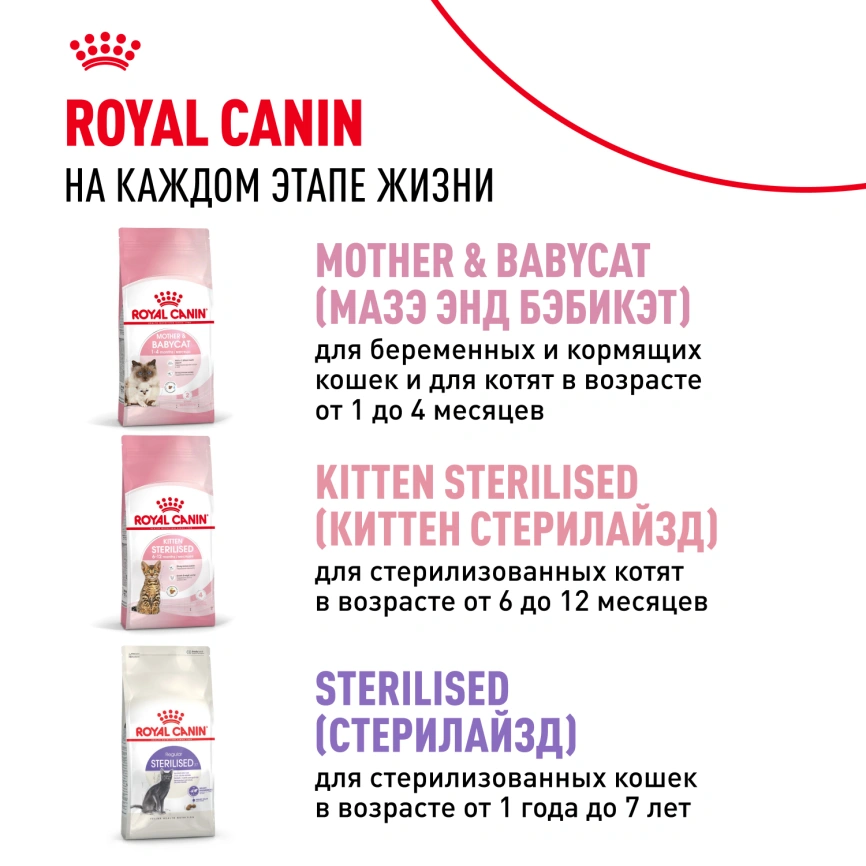 Сухой корм Royal Canin Kitten для котят, 1.2 кг фото 10