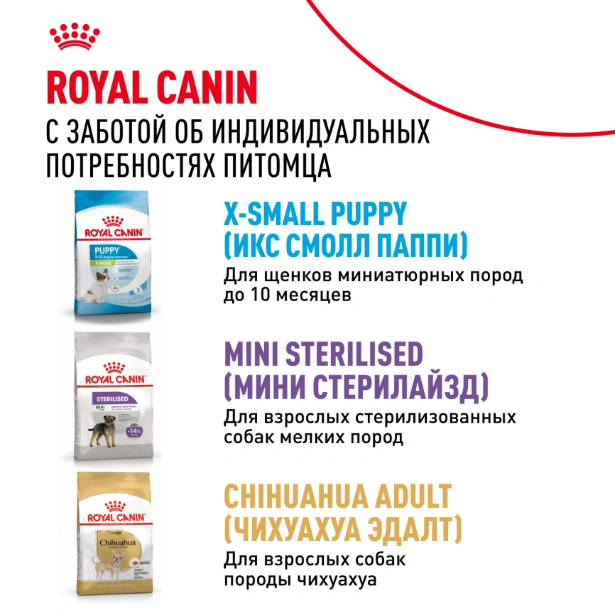 Сухой корм Royal Canin X-Small Adult для собак, 3 кг фото 10