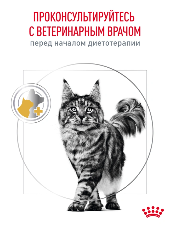 Сухой корм Royal Canin Urinary S/O для кошек при мочекаменной болезни, 3.5 кг фото 19