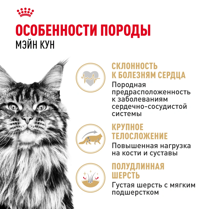 Влажный корм Royal Canin Maine Coon в соусе для кошек породы мейн-кун и других крупных пород старше 1 года, пауч, 85 г фото 2