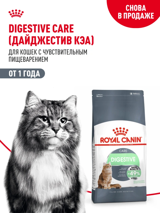 Сухой корм Royal Canin Digestive Care для кошек, 10 кг фото 14