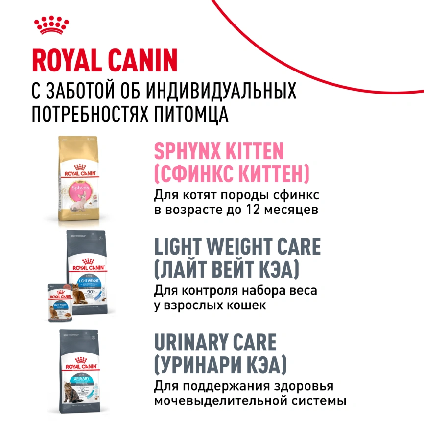 Сухой корм Royal Canin Sphynx для кошек породы сфинкс, 2 кг фото 10