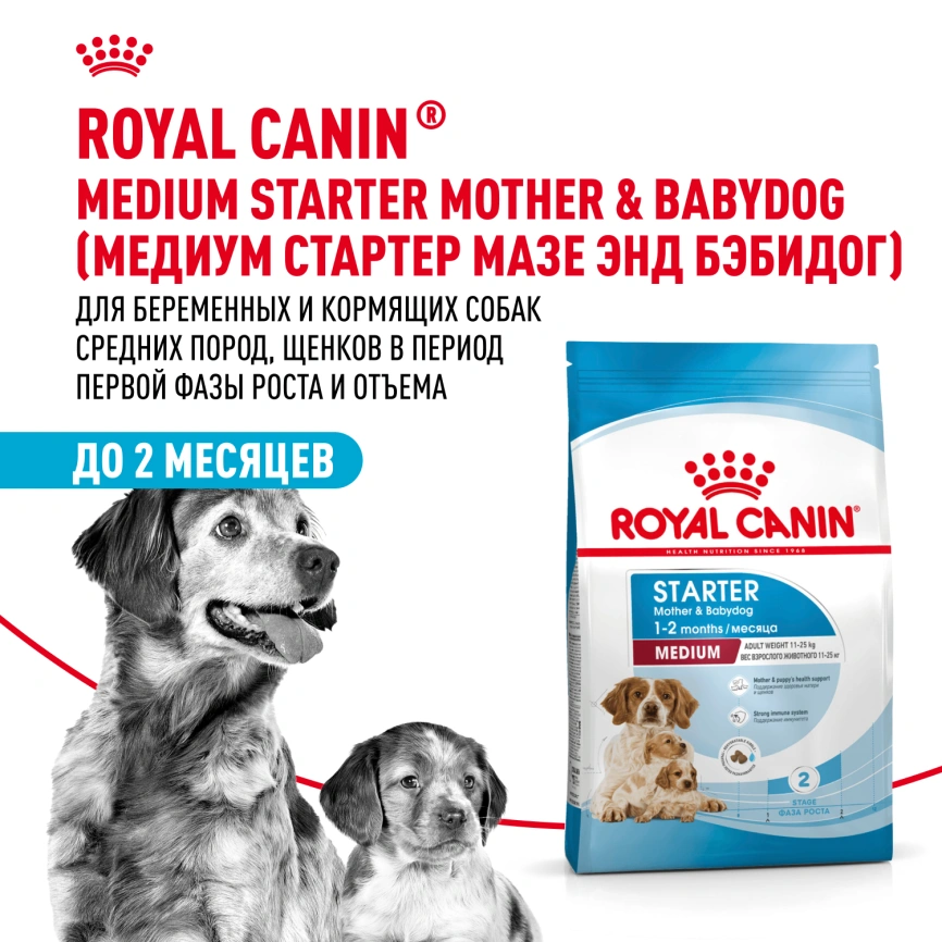 Сухой корм Royal Canin Medium Starter Mother & Babydog для щенков и кормящих сук, 4 кг фото 11