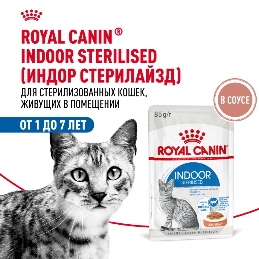 Влажный корм Royal Canin Indoor в соусе для кошек, живущих в помещении, пауч, 85 г фото 15