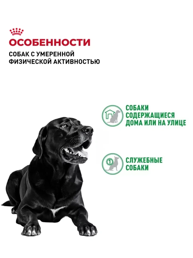 Сухой корм Royal Canin Club Adult CC для взрослых собак, 20 кг фото 3