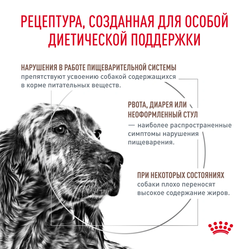 Сухой корм Royal Canin Gastrointestinal Low Fat для собак, 1 кг фото 3
