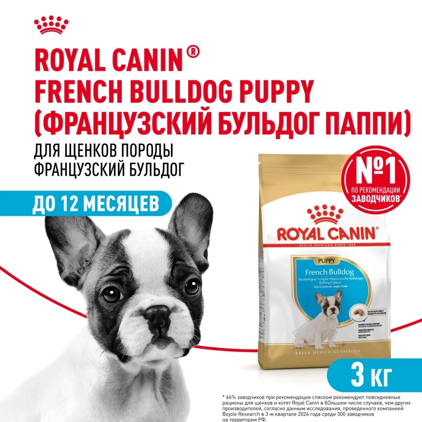 Сухой корм Royal Canin French Bulldog Puppy для щенков, 3 кг фото 1