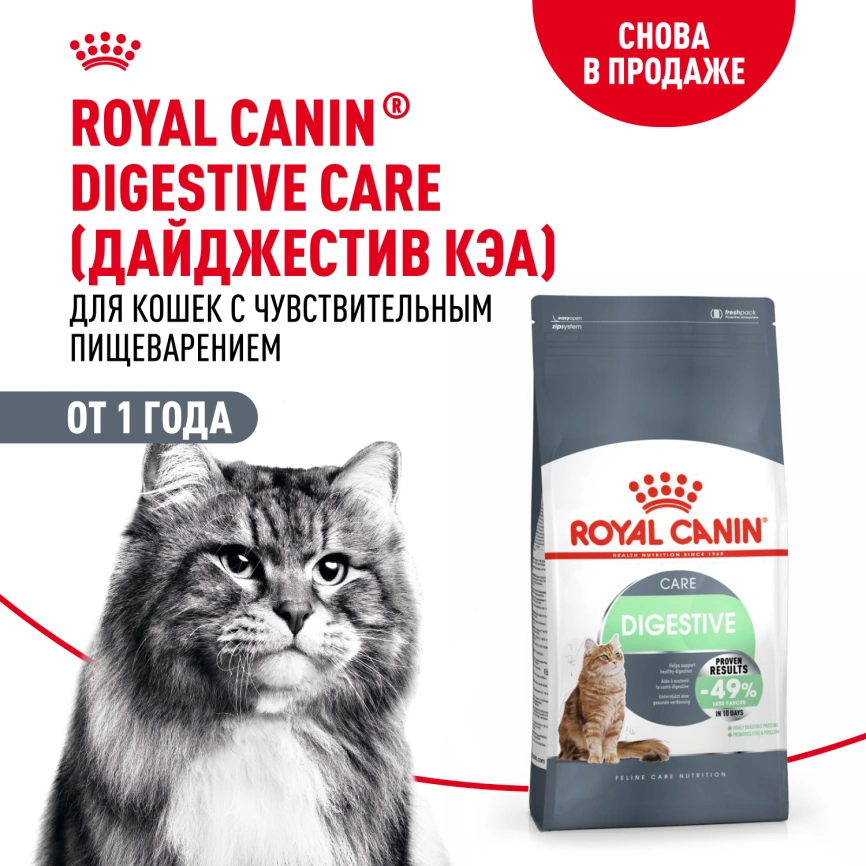 Сухой корм Royal Canin Digestive Care для кошек, 2 кг фото 14
