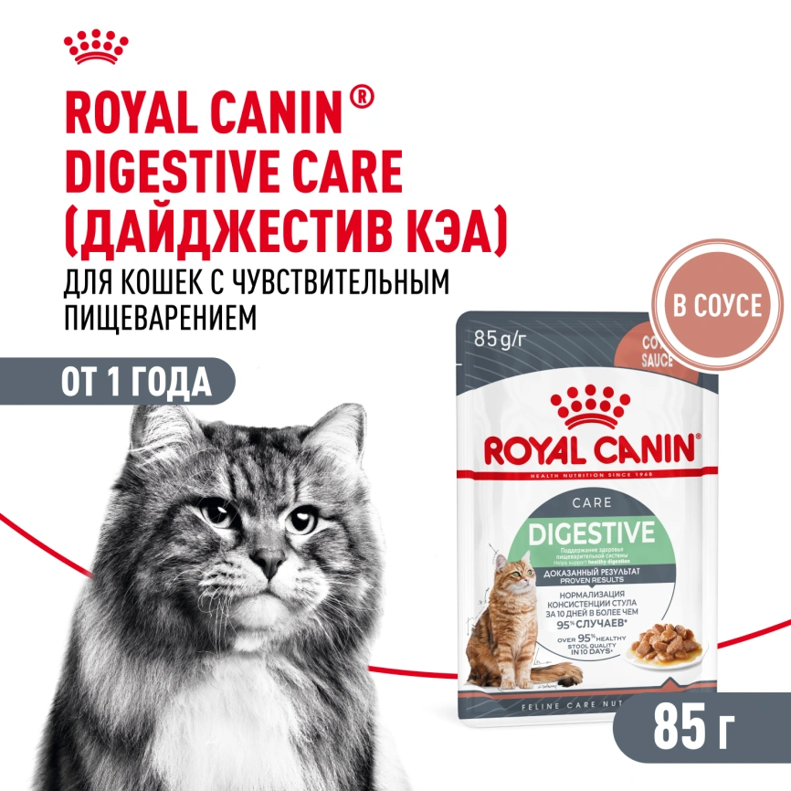 Влажный корм Royal Canin Digest Sensitive в соусе для улучшения пищеварения у взрослых кошек старше 1 года, пауч, 85 г фото 1