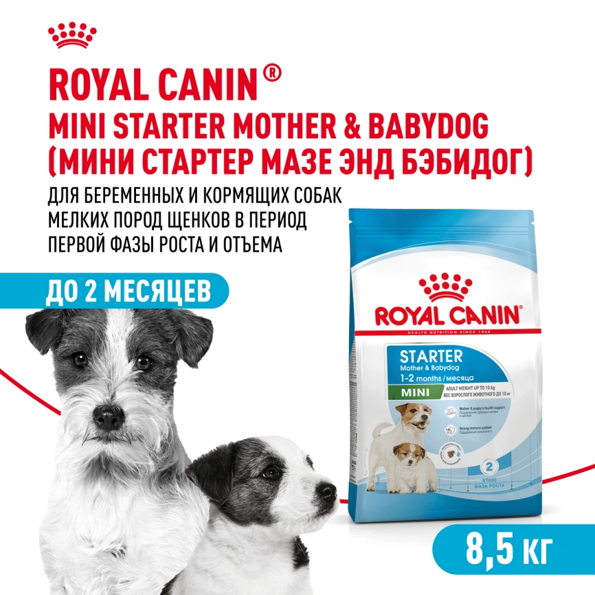 Сухой корм Royal Canin Mini Starter Mother & Babydog для щенков и кормящих сук, 8.5 кг фото 1