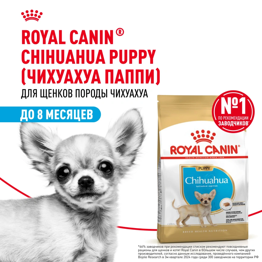 Сухой корм Royal Canin Chihuahua Puppy для щенков породы чихуахуа, 500 г фото 13