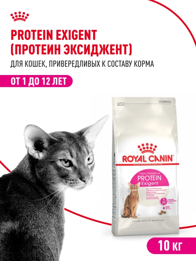 Сухой корм Royal Canin Protein Exigent для кошек, фото 14