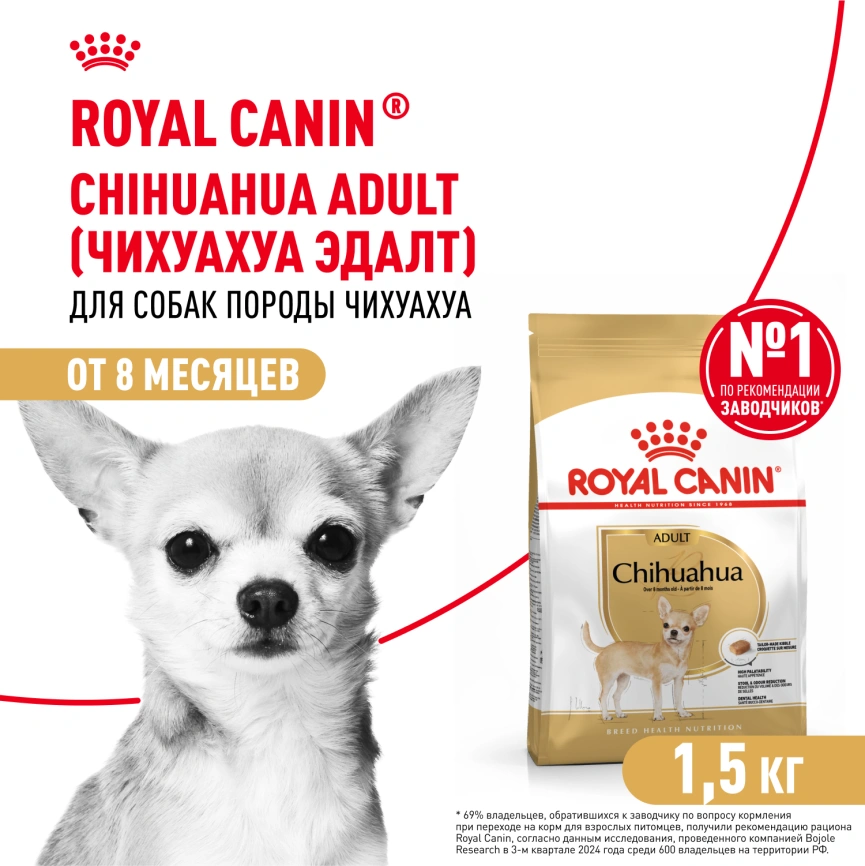 Сухой корм Royal Canin Cocker Adult для собак породы кокер-спаниель, 3 кг фото 1
