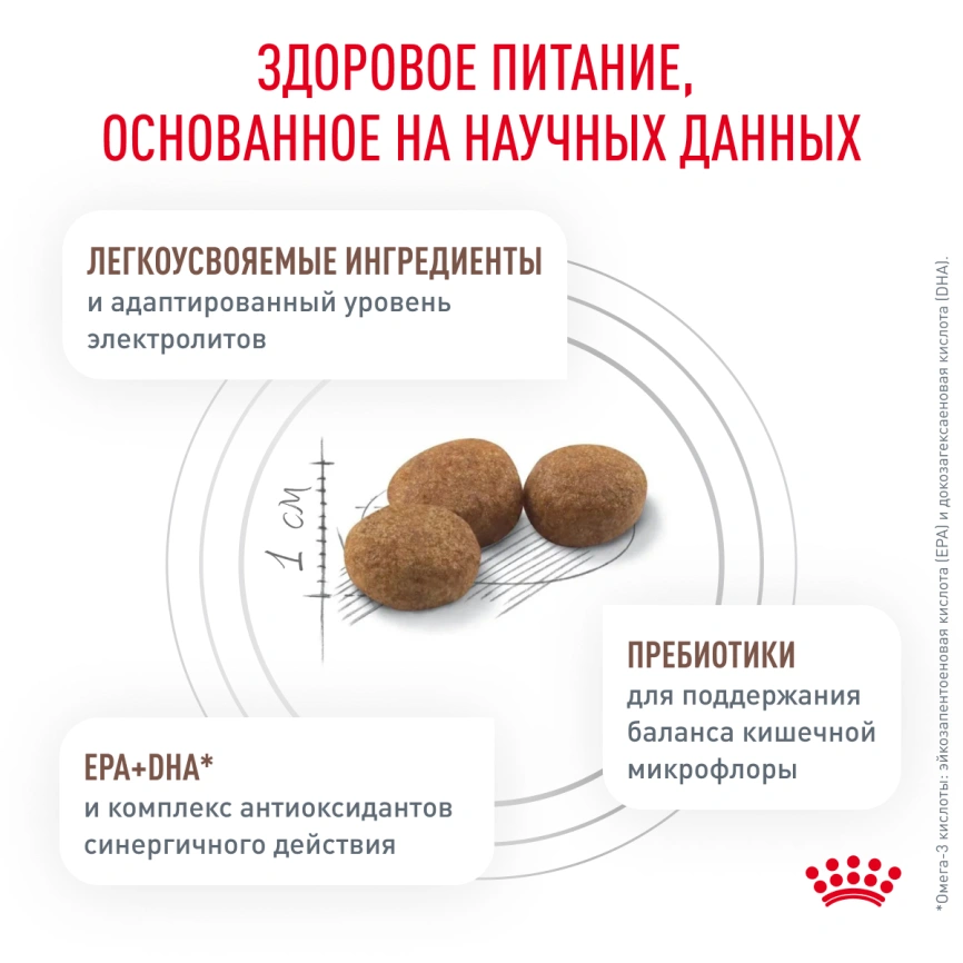 Сухой корм Royal Canin Gastrointestinal Low Fat Small Dogs для собак, 1 кг фото 4