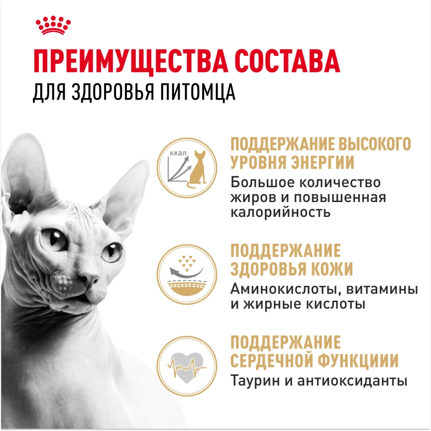 Сухой корм Royal Canin Sphynx для кошек породы сфинкс, 400 г фото 3