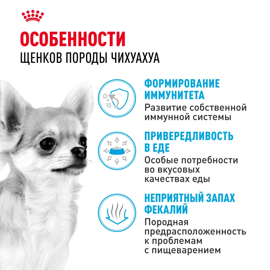 Сухой корм Royal Canin Chihuahua Puppy для щенков породы чихуахуа, 500 г фото 6