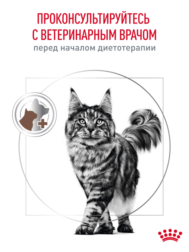 Сухой корм Royal Canin Gastrointestinal для кошек, 350 г фото 19