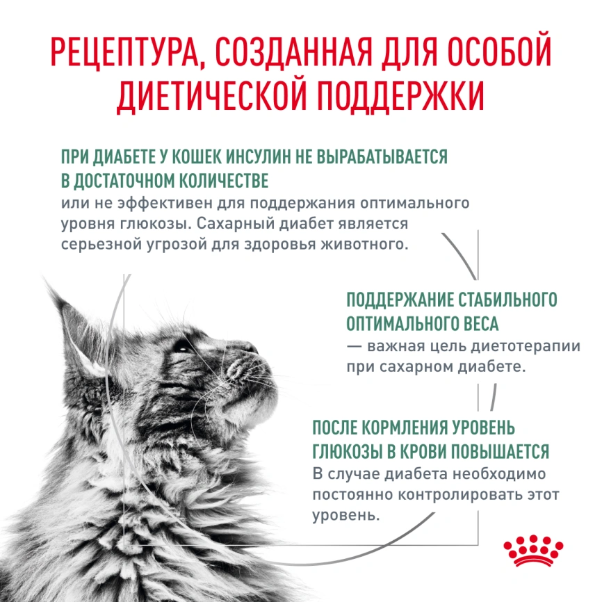 Сухой корм Royal Canin Diabetic для кошек, 1.5 кг фото 2