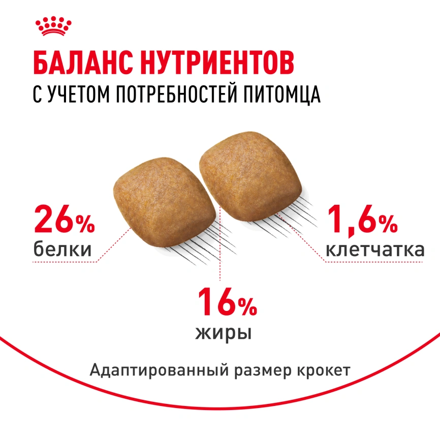 Сухой корм Royal Canin Pomeranian Adult для собак породы померанский шпиц, 500 г фото 5