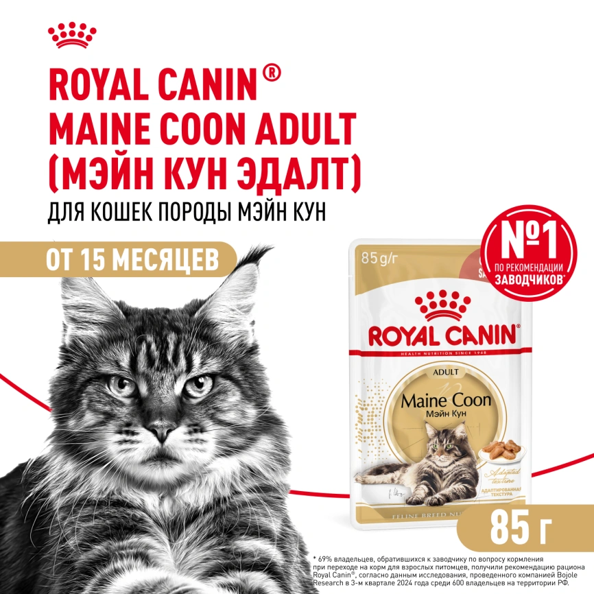 Влажный корм Royal Canin Maine Coon в соусе для кошек породы мейн-кун и других крупных пород старше 1 года, пауч, 85 г фото 1