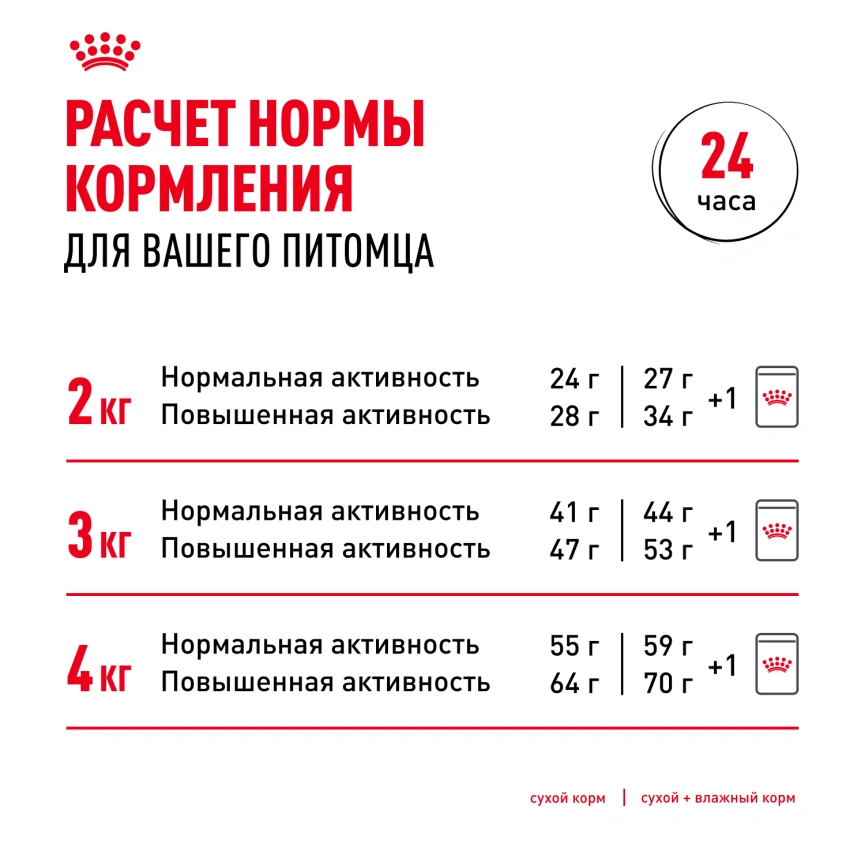 Сухой корм Royal Canin Chihuahua Adult для собак породы чихуахуа, 500 г фото 9