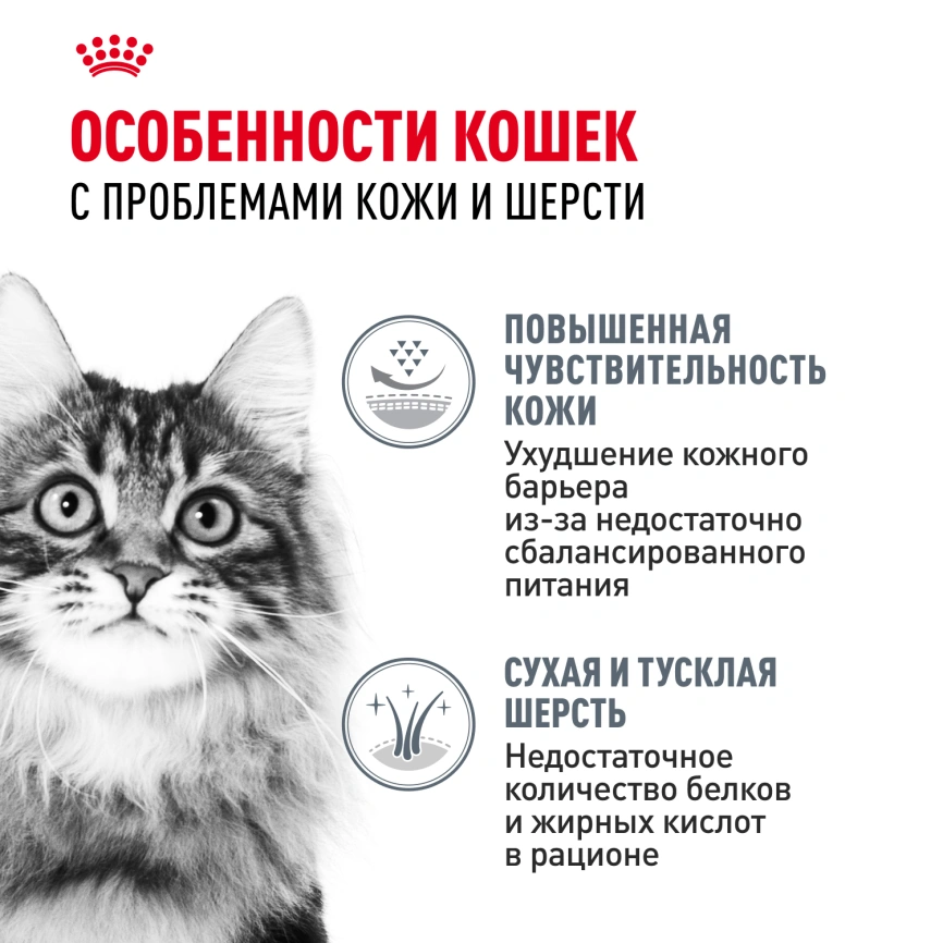 Сухой корм Royal Canin Hair & Skin Care для кошек, 10 кг фото 2