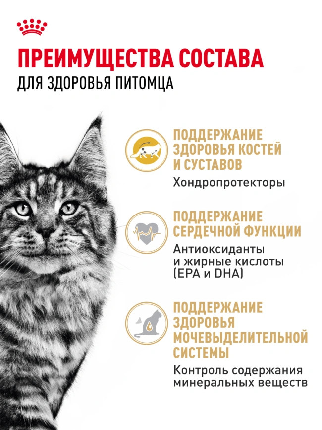 Сухой корм Royal Canin Maine Coon для кошек, 10 кг фото 24