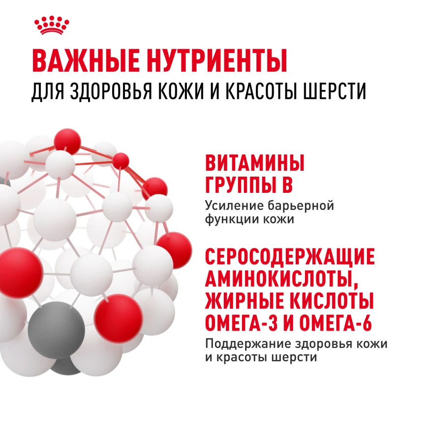 Сухой корм Royal Canin Hair & Skin Care для кошек, 400 г фото 4