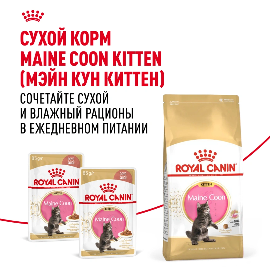 Влажный корм Royal Canin Maine Coon Kitten в соусе для котят породы мейн-кун и других крупных пород старше 3 месяцев, пауч, 85 г фото 10