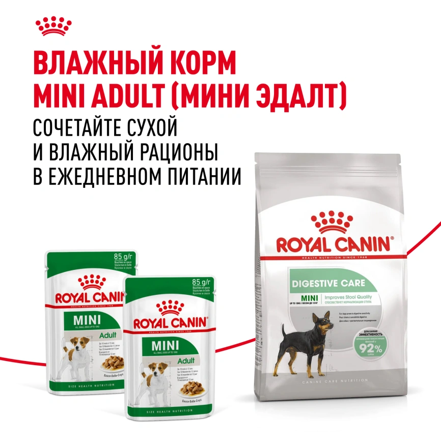 Сухой корм Royal Canin Mini Digestive Care для собак, 1 кг фото 8