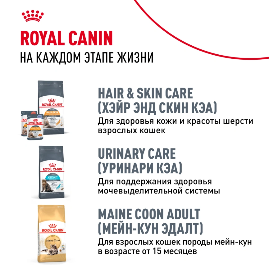 Сухой корм Royal Canin Kitten Maine Coon для котят, 2 кг фото 10