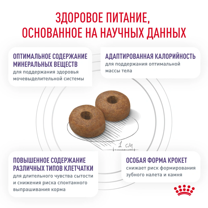 Сухой корм Royal Canin Neutered Adult Small Dogs для стерилизованных собак мелких пород, 3.5 кг фото 3