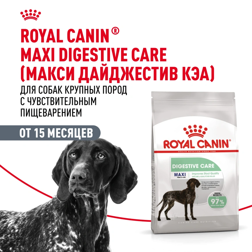 Сухой корм Royal Canin Maxi Digestive Care для собак, 3 кг фото 12