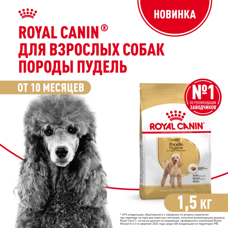 Сухой корм Royal Canin Poodle Adult для взрослых собак, 1,5 кг фото 1