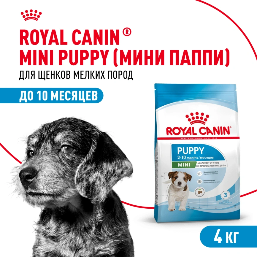 Сухой корм Royal Canin Mini Puppy для щенков, 4 кг фото 1