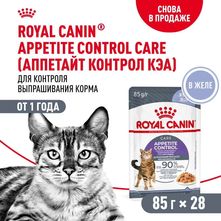 Влажный корм Royal Canin Appetite Control Care в желе для взрослых кошек, для контроля выпрашивания корма, пауч, 85 г фото 12