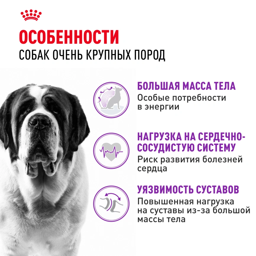 Сухой корм Royal Canin Giant Adult для собак, 4 кг фото 2