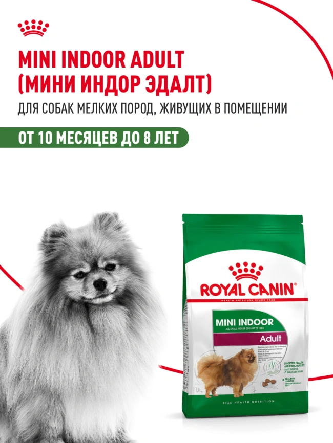 Сухой корм Royal Canin Mini Indoor Adult для собак, 10 кг фото 13