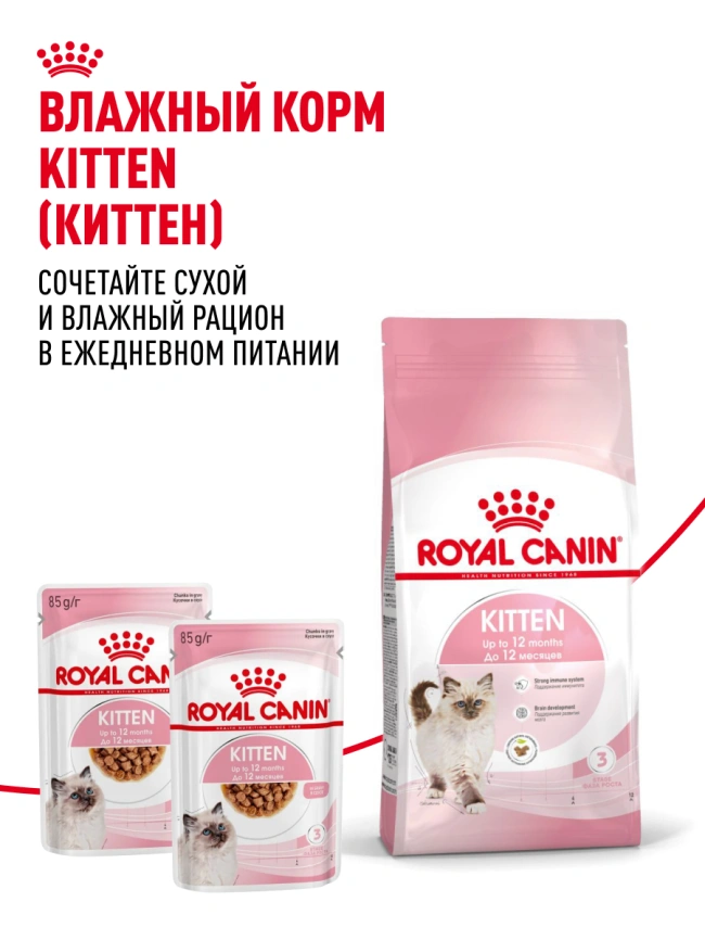 Сухой корм Royal Canin Kitten для котят, 1.2 кг фото 22