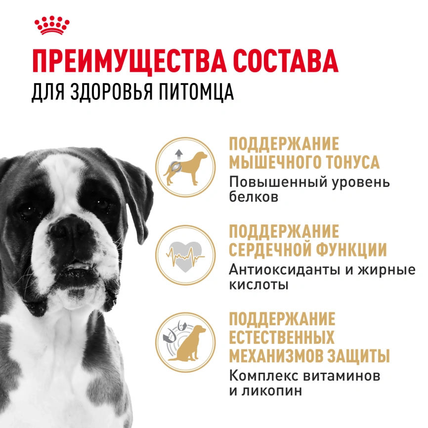 Сухой корм Royal Canin Boxer Adult для собак породы боксер, 12 кг фото 3