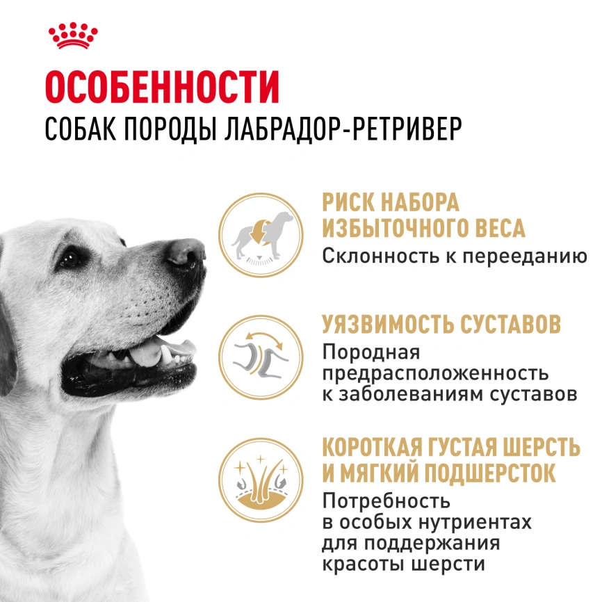 Сухой корм Royal Canin Labrador Retriever Adult для собак, 12 кг фото 2