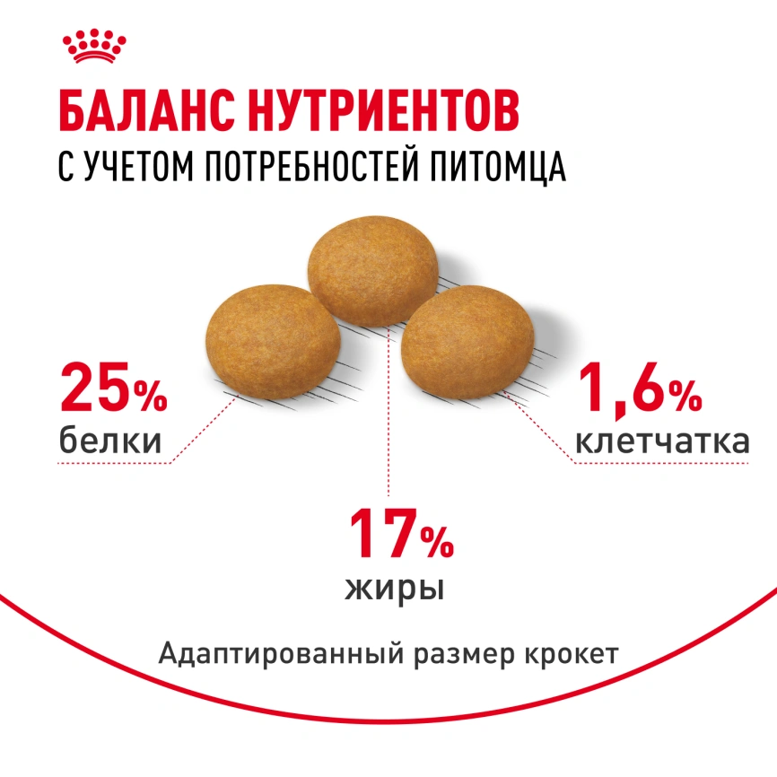 Сухой корм Royal Canin Maxi Dermacomfort для собак, 10 кг фото 4