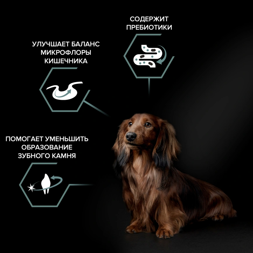 Сухой корм Purina Pro Plan Adult Small & Mini Sensitive Digestion для собак мелких пород, 3 кг фото 2