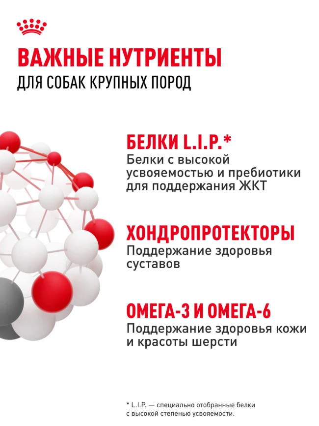 Сухой корм Royal Canin Maxi Adult для собак, 15 кг фото 17