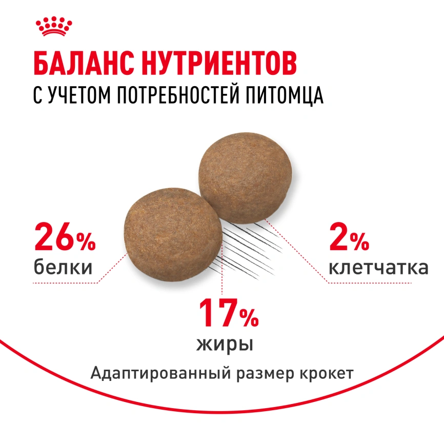 Сухой корм Royal Canin Maxi Adult для собак, 3 кг фото 4