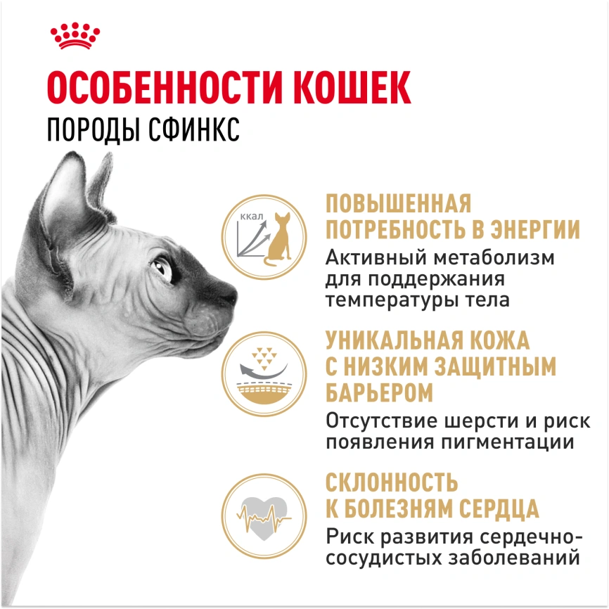 Сухой корм Royal Canin Sphynx для кошек породы сфинкс, 2 кг фото 2